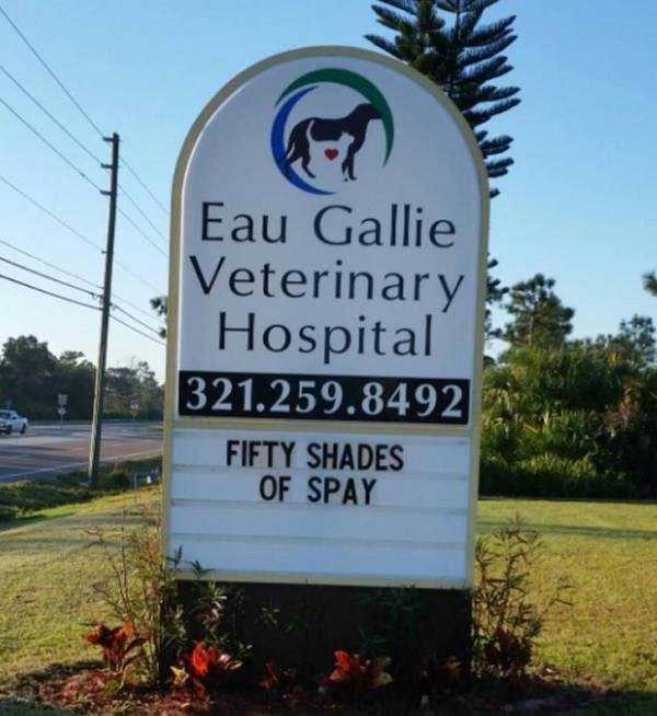 funny-vet-signs (8)