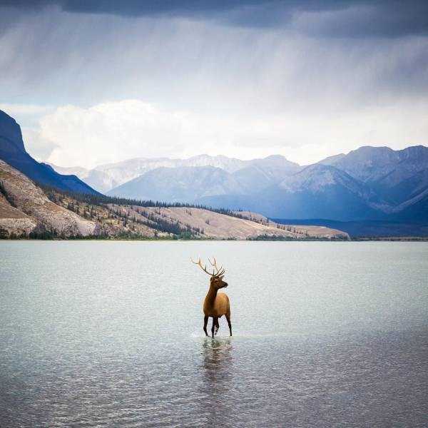 60 Amazing HD Pics That Will Please Your Eyes (60 photos)