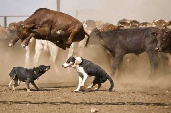 54 Perfectly Timed Photos