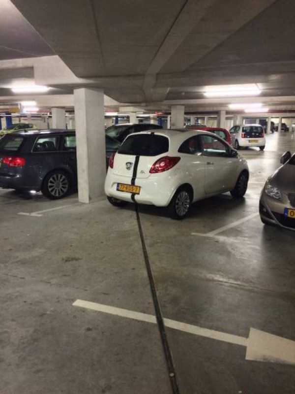 30 Perfectly Timed Photos