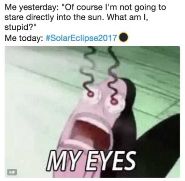 solar eclipse memes 11