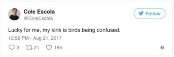 The Solar Eclipse Is Quite Popular These Days (32 photos)