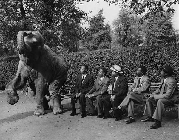 35 Perfectly Timed Vintage Photos