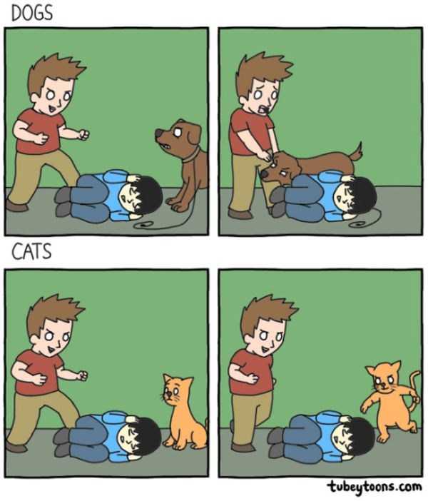 cats dogs differences 1