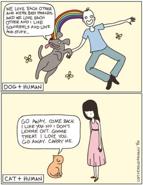 25 Illustrations Showing The Differences Between Cats And Dogs (25 photos)