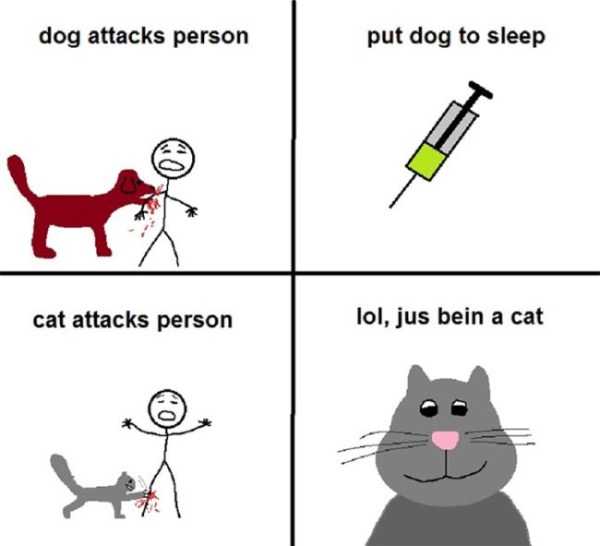 cats dogs differences 5