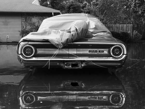 55 Amazing HD Pics That Will Please Your Eyes (55 photos)