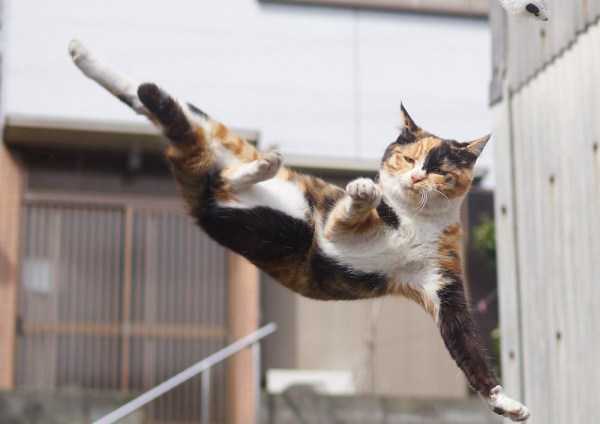 55 Amazing HD Pics That Will Please Your Eyes (55 photos)