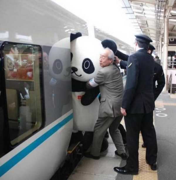 34 WTF Images From Japan (34 photos)