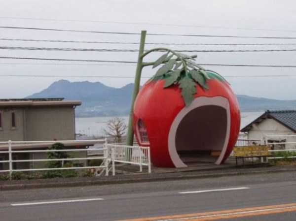 34 WTF Images From Japan (34 photos)