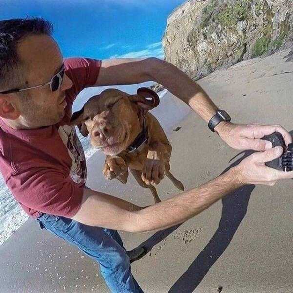 pics taken at the perfect moment 1 45 Perfectly Timed Photos
