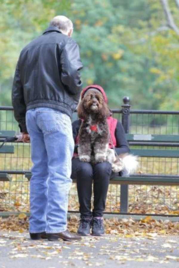 pics taken at the perfect moment 21 45 Perfectly Timed Photos