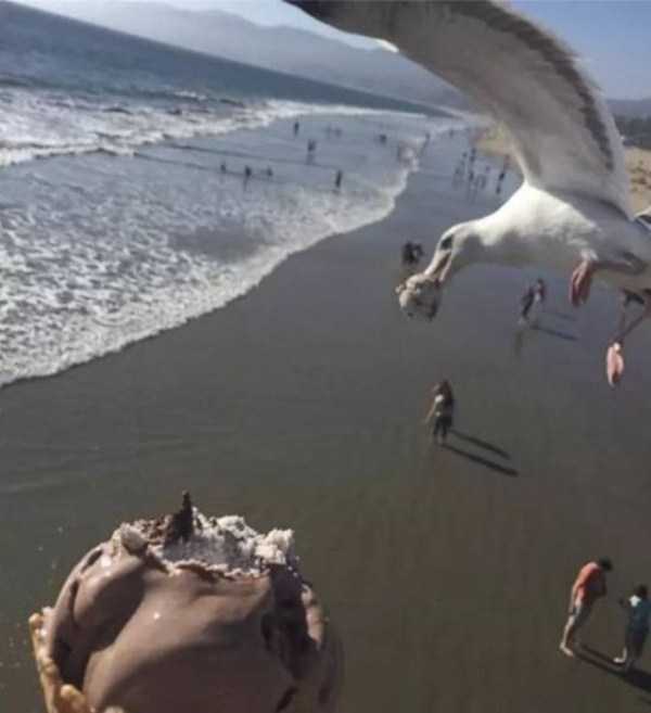 pics taken at the perfect moment 32 45 Perfectly Timed Photos