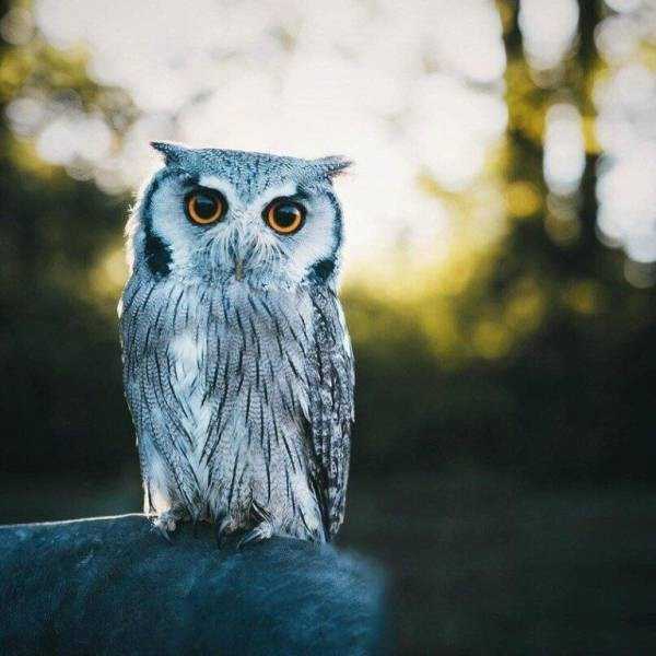 44 Nothing But Awesome Pics (44 photos)