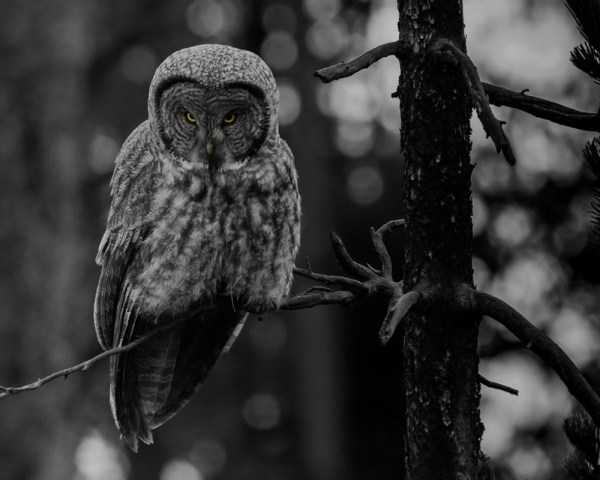 65 Amazing HD Pics That Will Please Your Eyes (65 photos)