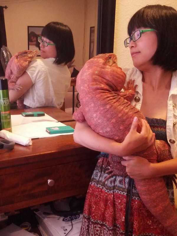 42 More WTF Photos, Because Why Not!?