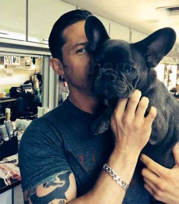 Tom Hardy Truly Loves Dogs (31 photos)
