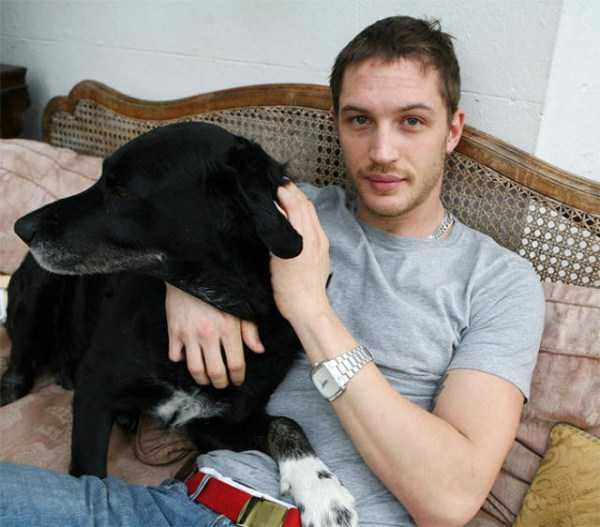 Tom Hardy Truly Loves Dogs (31 photos)