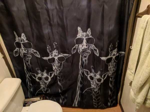 cool shower curtains 13