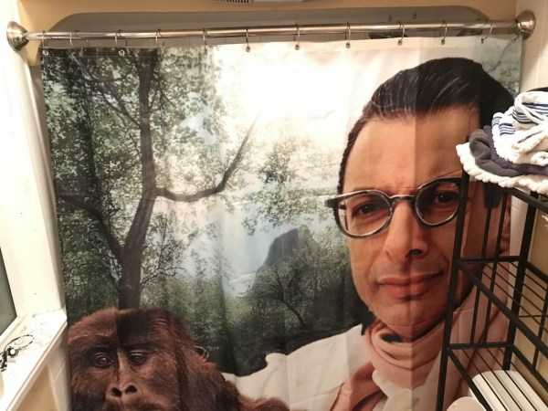 cool shower curtains 14