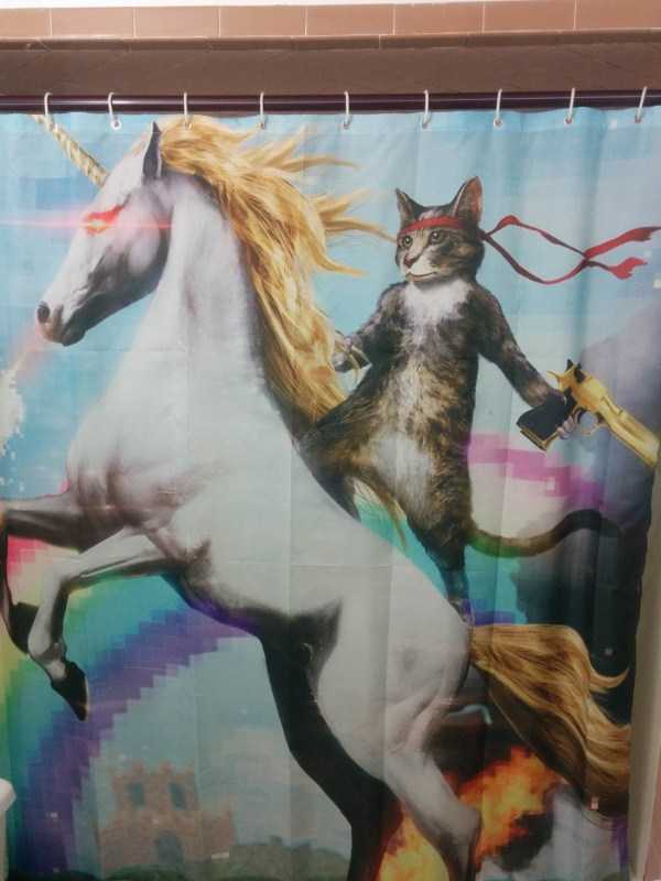 cool shower curtains 43