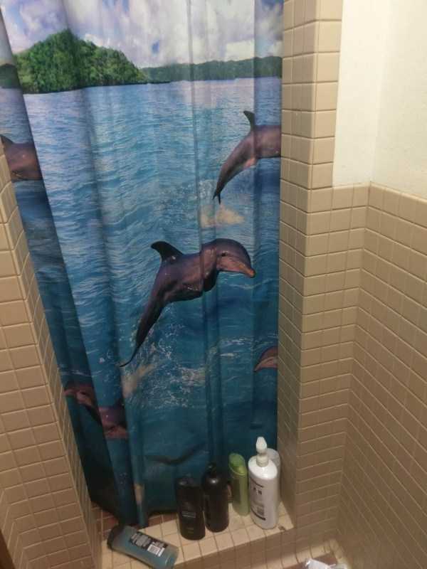 cool shower curtains 5