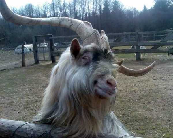 86 Amazing HD Pics That Will Please Your Eyes (86 photos)