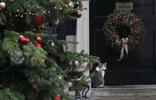 86 Amazing HD Pics That Will Please Your Eyes (86 photos)