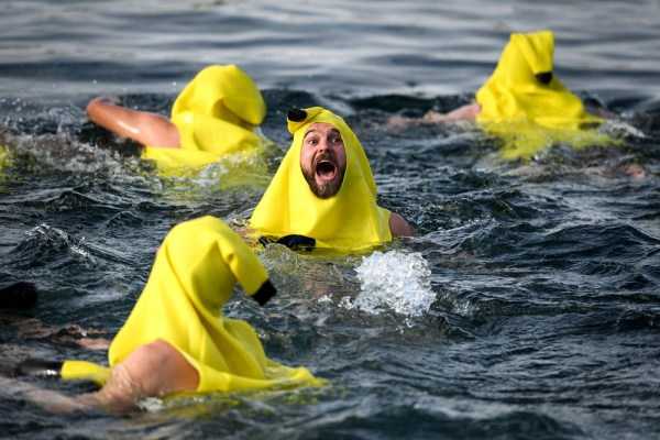 86 Amazing HD Pics That Will Please Your Eyes (86 photos)