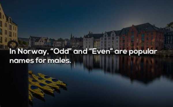 It’s Time For Some Cool And Interesting Facts – Part 55 (62 photos)