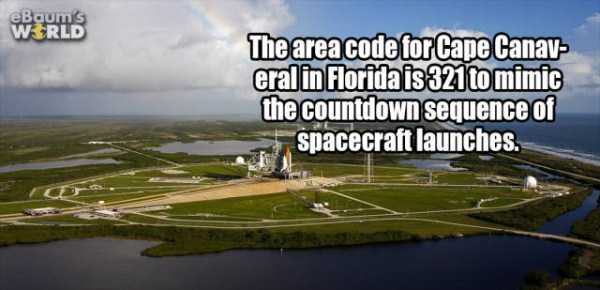 It’s Time For Some Cool And Interesting Facts – Part 55 (62 photos)