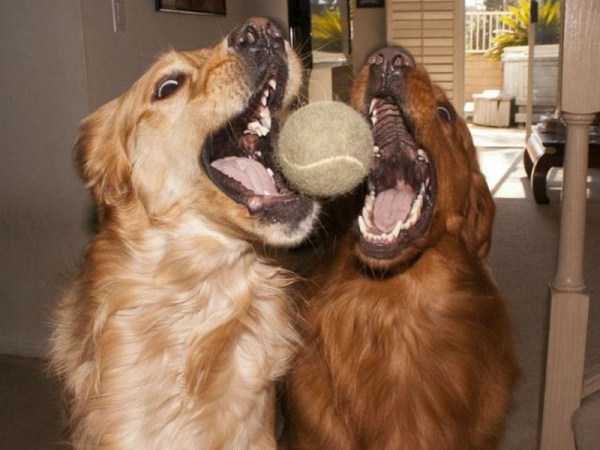 52 Perfectly Timed Photos