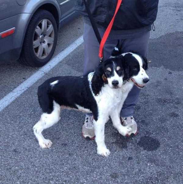 52 Perfectly Timed Photos