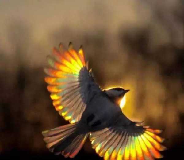 56 Perfectly Timed Photos