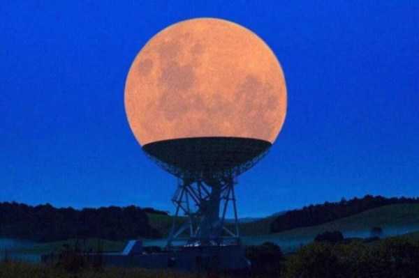 56 Perfectly Timed Photos