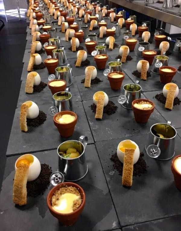 Plates Are Overrated These Days (37 photos)