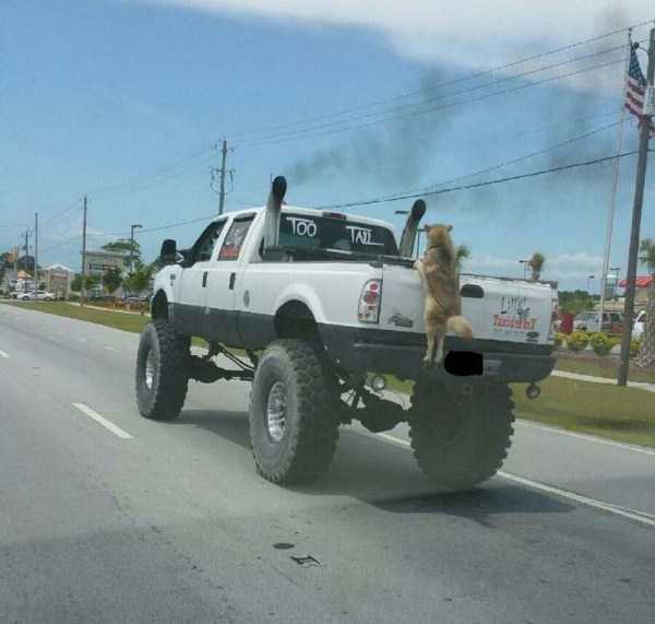 47 More WTF Photos, Because Why Not!?