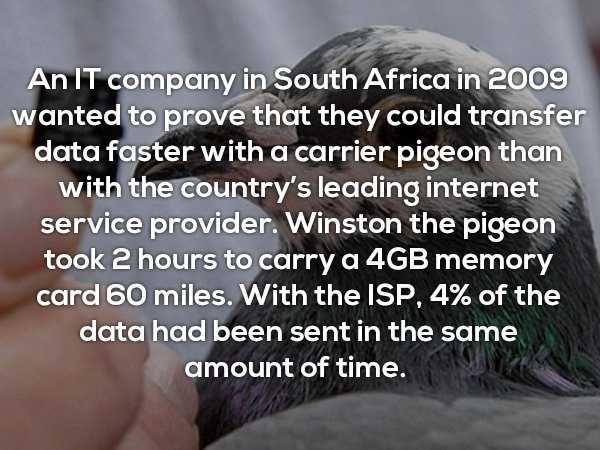 It’s Time For Some Cool And Interesting Facts – Part 58 (24 photos)