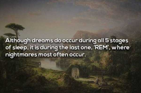 dreaming facts 6
