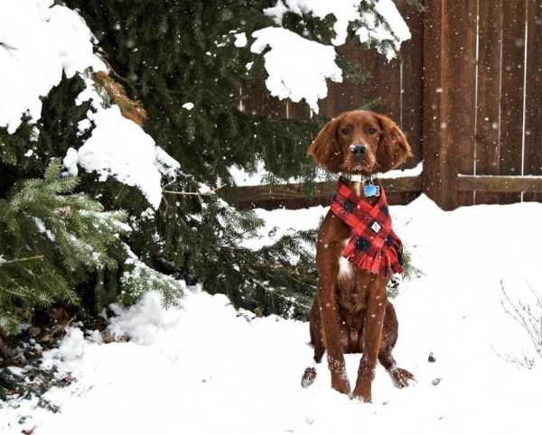 91 Amazing HD Pics That Will Please Your Eyes (91 photos)