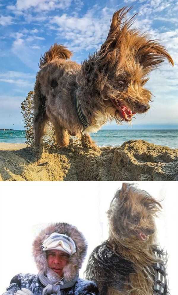 30 Awesomely Funny Photoshop Battle Examples (30 photos)