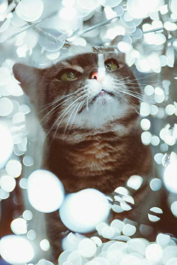 83 Amazing HD Pics That Will Please Your Eyes (83 photos)