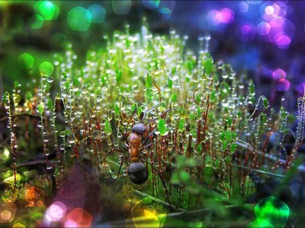 83 Amazing HD Pics That Will Please Your Eyes (83 photos)