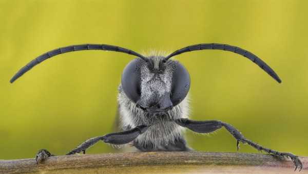 83 Amazing HD Pics That Will Please Your Eyes (83 photos)