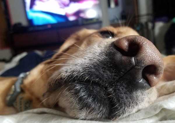 83 Amazing HD Pics That Will Please Your Eyes (83 photos)