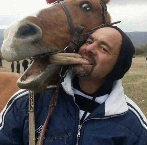 49 Perfectly Timed Photos