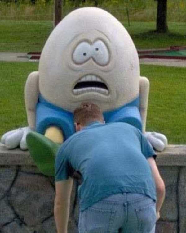 47 Perfectly Timed Photos