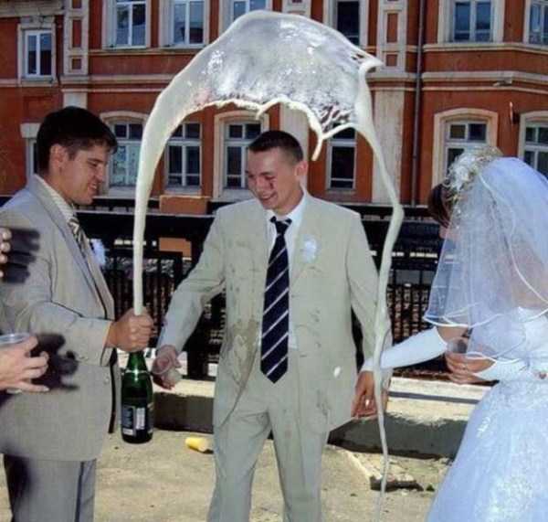 perfectly timed photos 14
