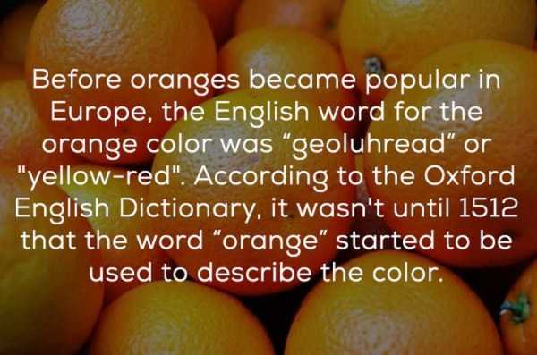 color facts 17