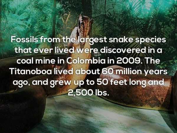 It’s Time For Some Cool And Interesting Facts – Part 60 (25 photos)